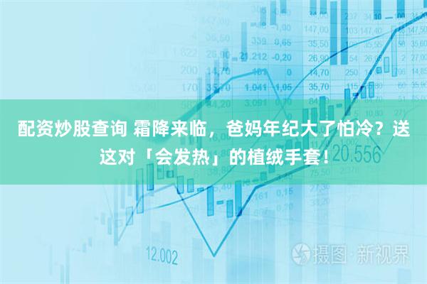 配资炒股查询 霜降来临，爸妈年纪大了怕冷？送这对「会发热」的植绒手套！